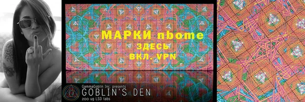 твердый Козельск