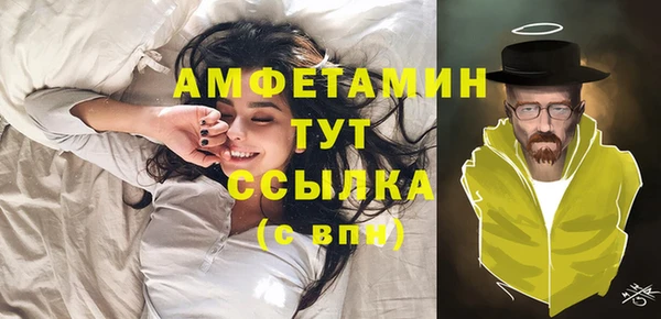 твердый Козельск