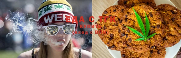 твердый Козельск