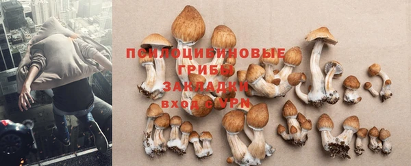 твердый Козельск