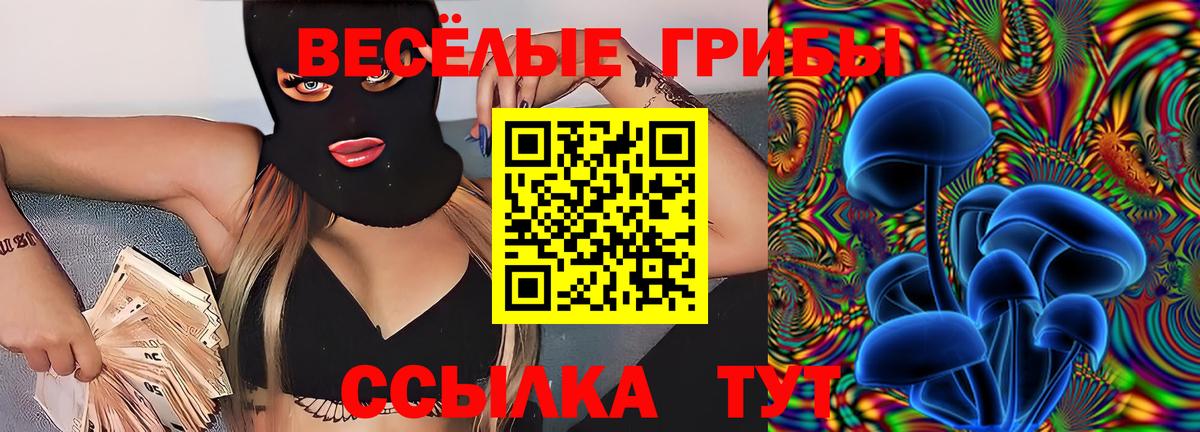 сколько стоит  Галлюциногенные грибы Magic Shrooms  Кольчугино  Вход с VPN  Галлюциногенные грибы Magic Shrooms 