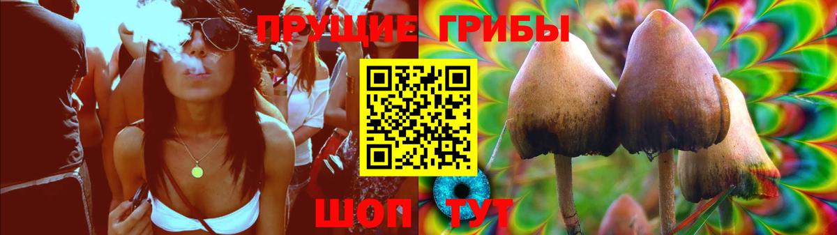 Галлюциногенные грибы Magic Shrooms Кольчугино