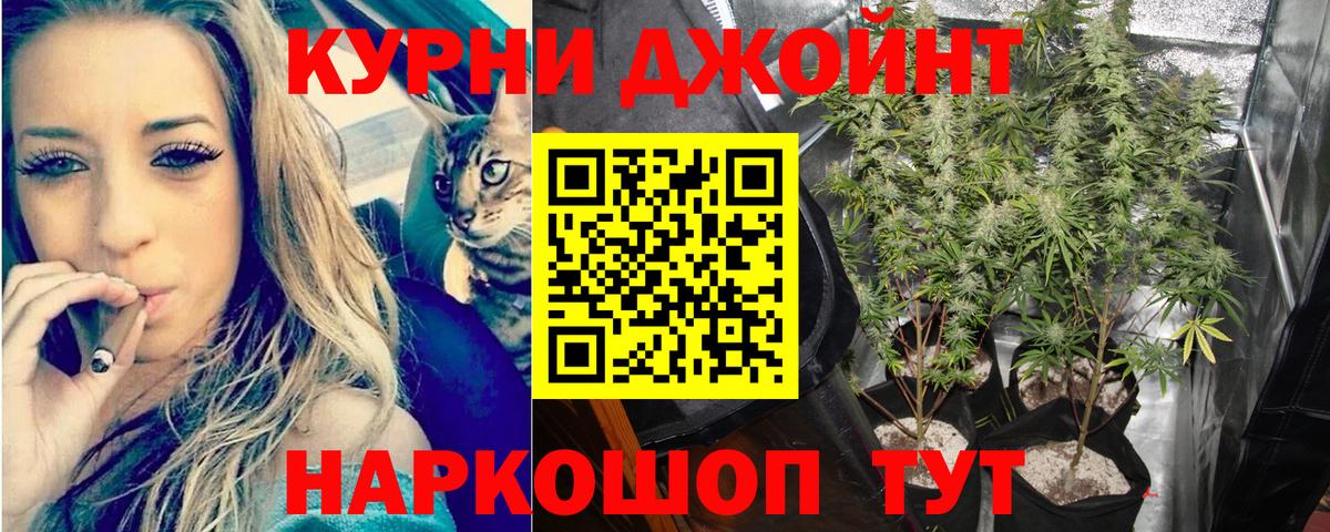 Бошки Шишки VHQ Кольчугино